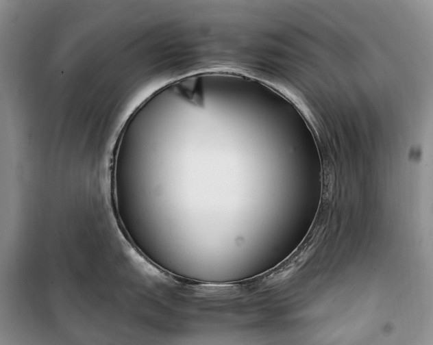 X0000100231151200806131331