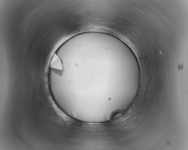 X0000100231152200806131331