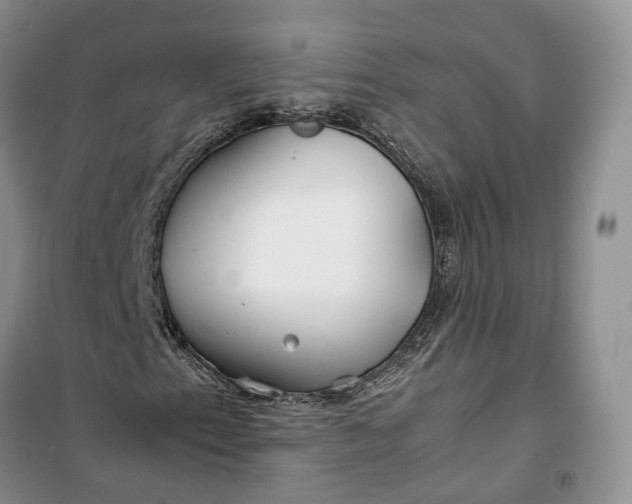 X0000100231153200806131330