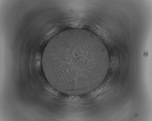 X0000100231154200806131330