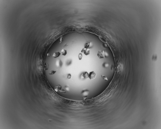 X0000100231156200806131330