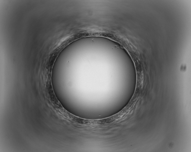 X0000100231157200806131330