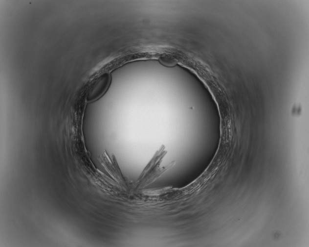 X0000100231158200806131330