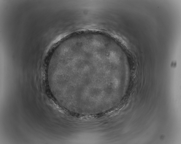 X0000100231159200806131330