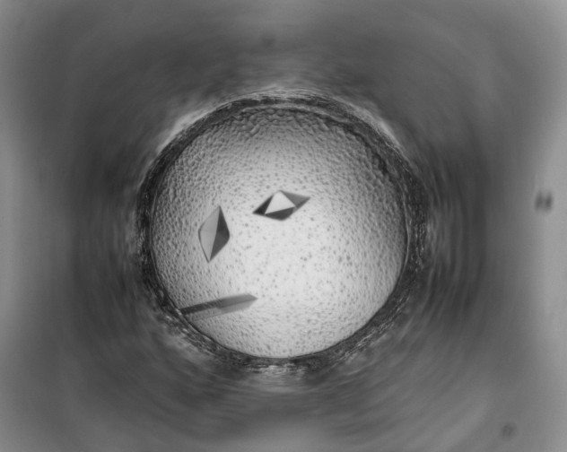 X0000100231160200806131330