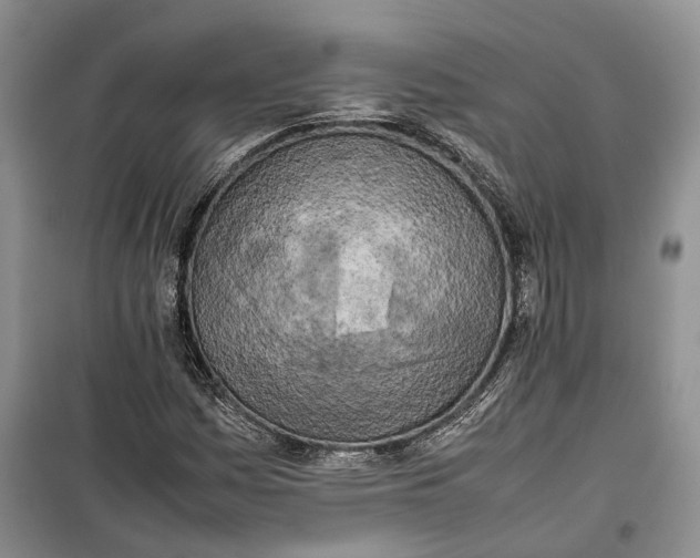 X0000100231161200806131330