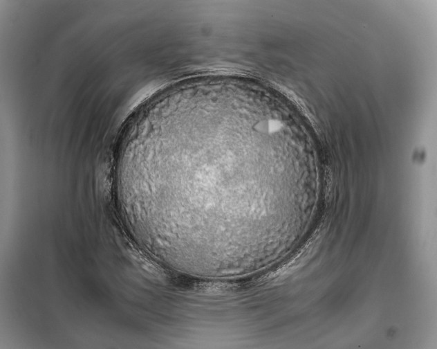 X0000100231163200806131330