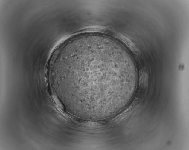 X0000100231164200806131330