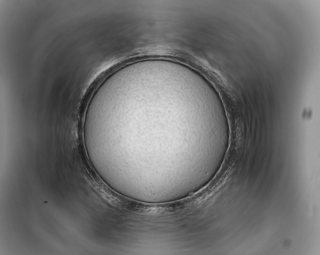 X0000100231166200806131330