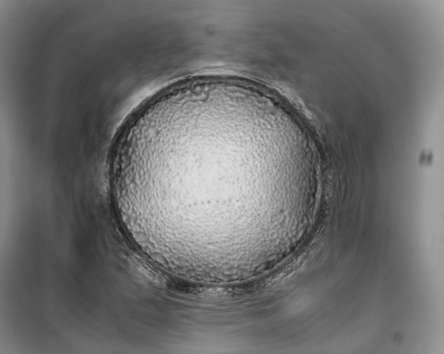 X0000100231167200806131330