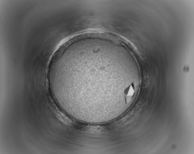 X0000100231168200806131330