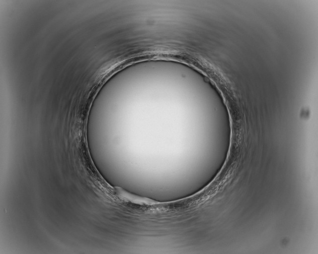 X0000100231169200806131330