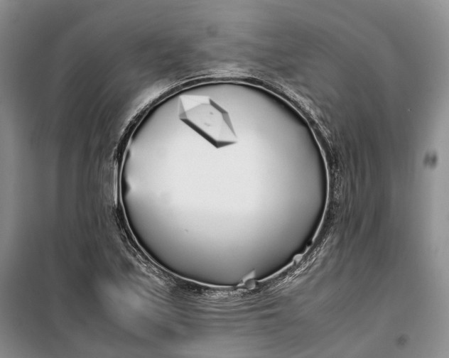 X0000100231171200806131330