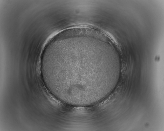 X0000100231172200806131330