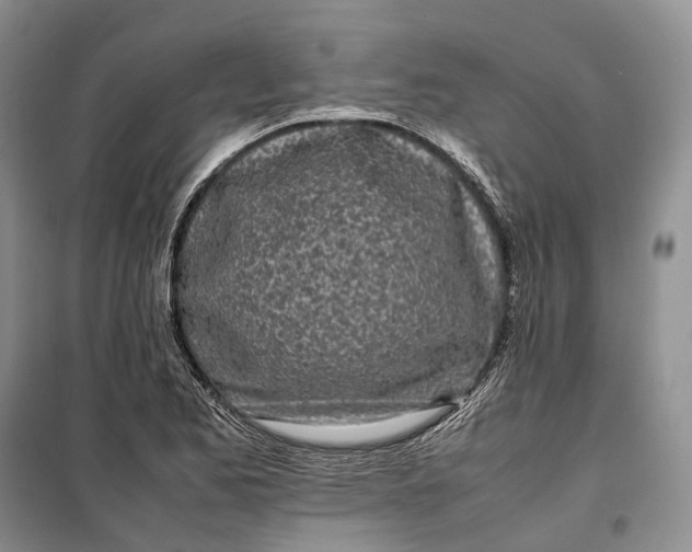 X0000100231173200806131330