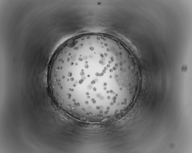 X0000100231174200806131330