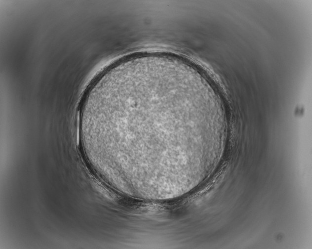 X0000100231175200806131330