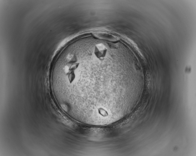 X0000100231176200806131330