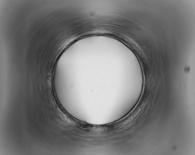 X0000100231177200806131330