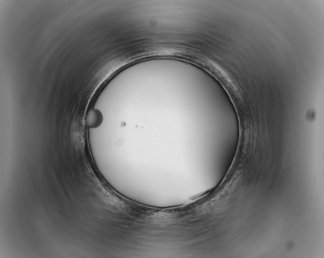 X0000100231178200806131330