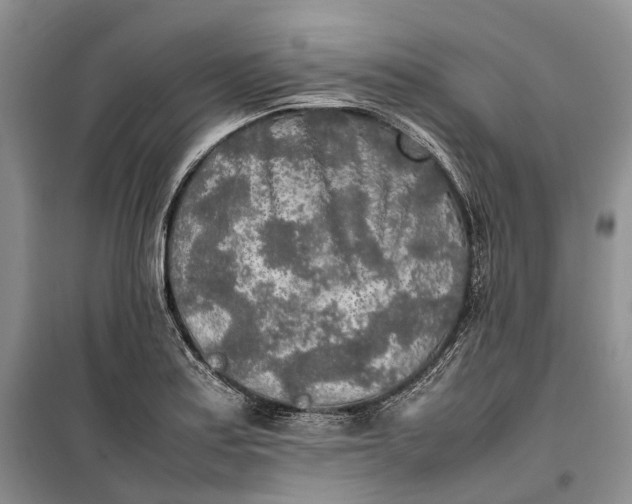 X0000100231179200806131330