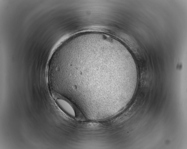 X0000100231180200806131330