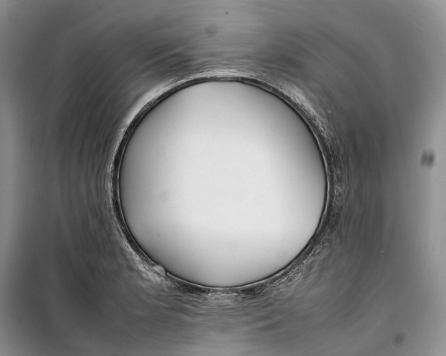 X0000100231181200806131330