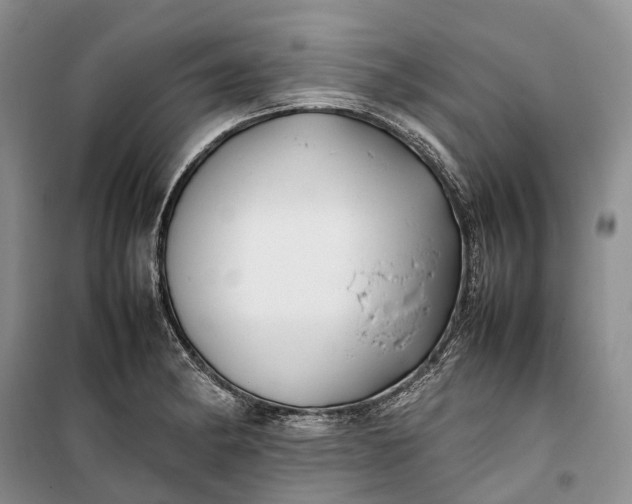 X0000100231182200806131330