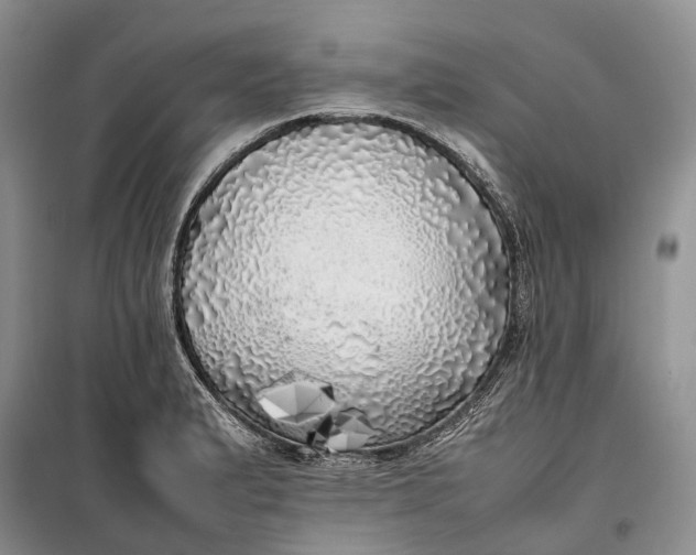 X0000100231183200806131330