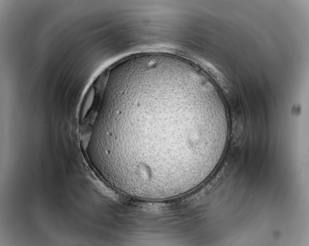 X0000100231184200806131329