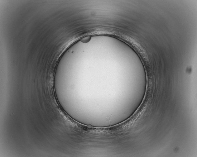 X0000100231185200806131329