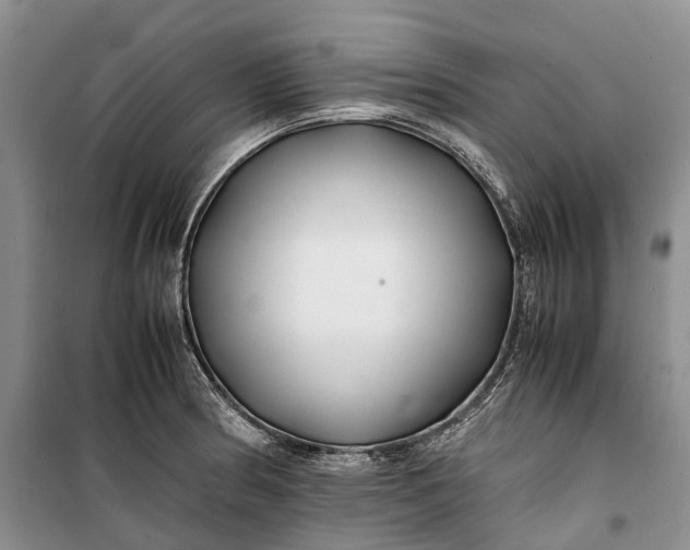 X0000100231186200806131329