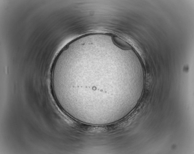 X0000100231187200806131329