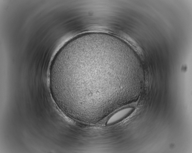 X0000100231188200806131329