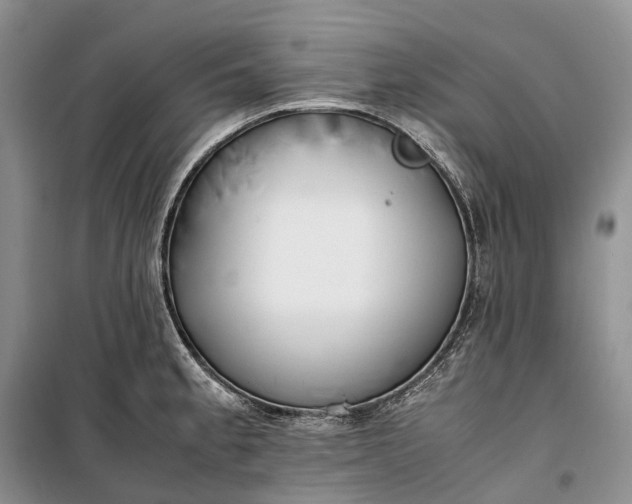 X0000100231189200806131329