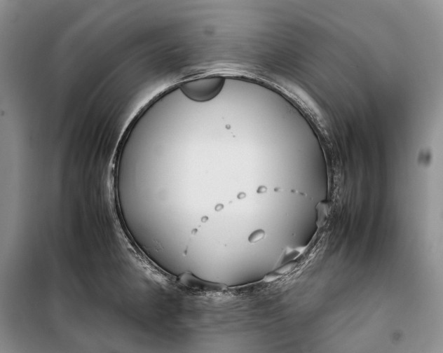 X0000100231190200806131329