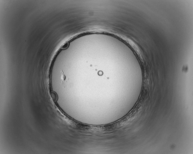 X0000100231191200806131329