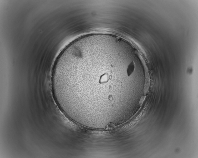 X0000100231192200806131329