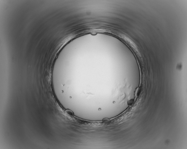 X0000100231193200806131329