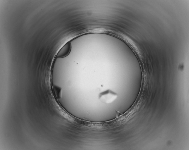 X0000100231194200806131329