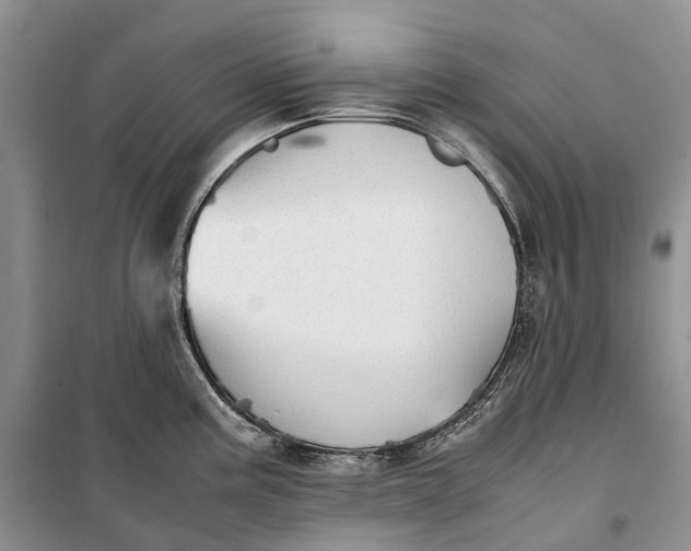 X0000100231195200806131329