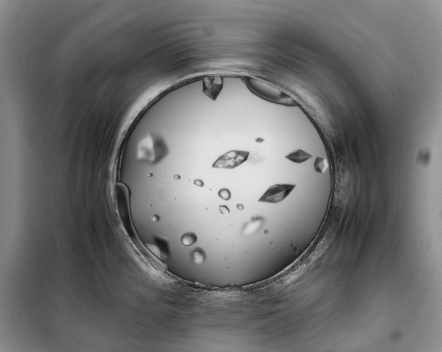 X0000100231196200806131329