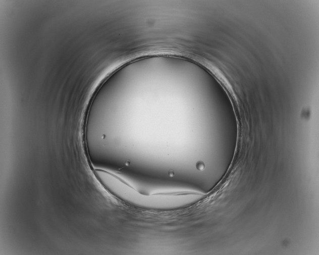 X0000100231197200806131329