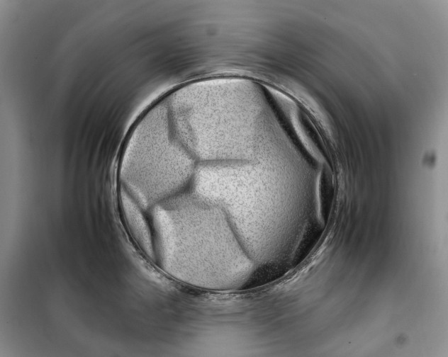 X0000100231198200806131329