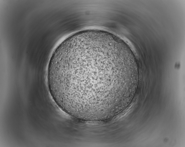 X0000100231199200806131329