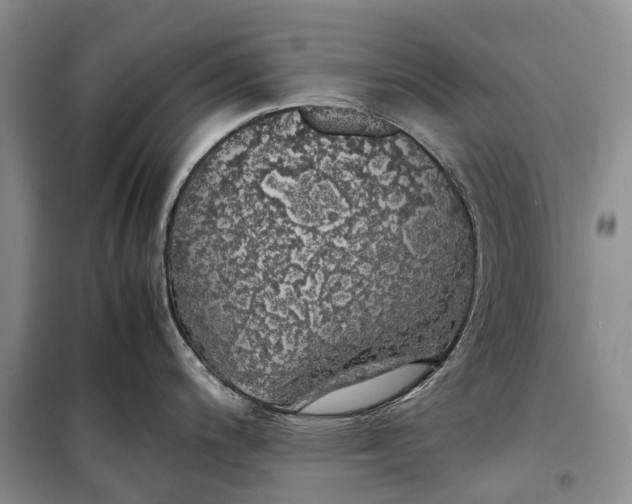 X0000100231200200806131329