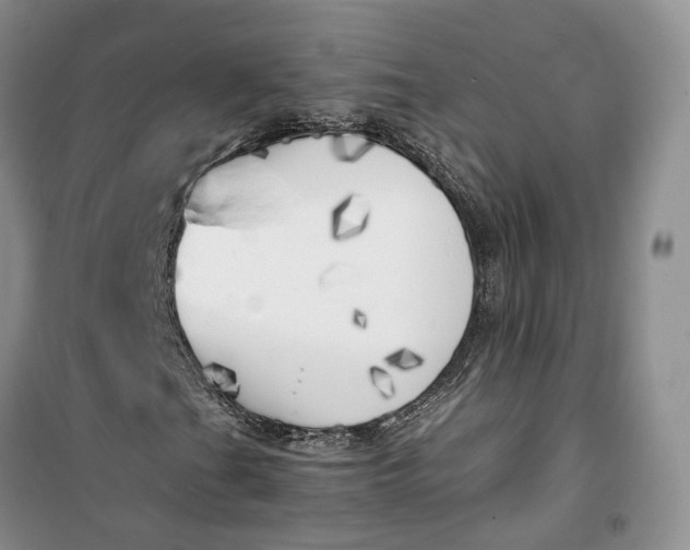 X0000100231201200806131329