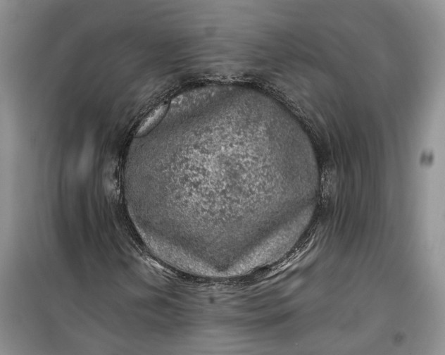 X0000100231202200806131329