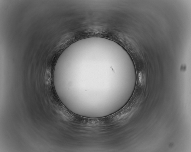 X0000100231203200806131329