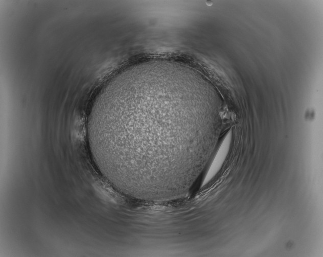 X0000100231204200806131329